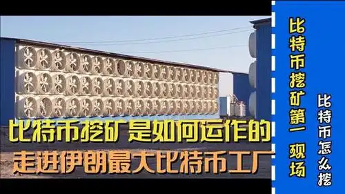 Large-scale mining farm with rows of high-performance rigs