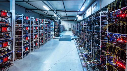 Large-scale bitcoin mining farm with rows of mining rigs.