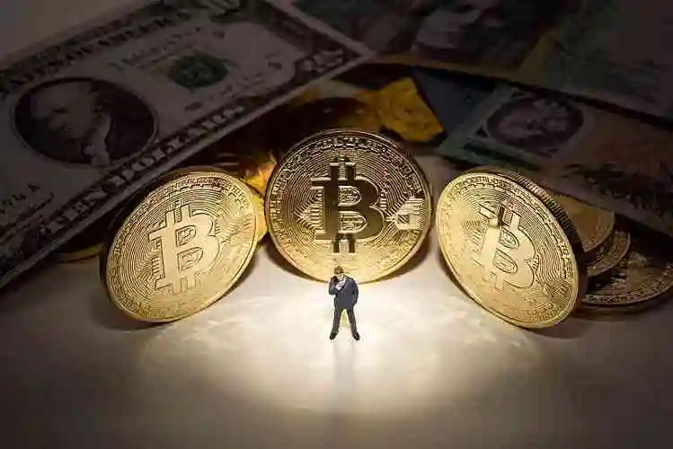 A streamlined mining rig configuration enhancing efficiency for currencies like Bitcoin in the Netherlands